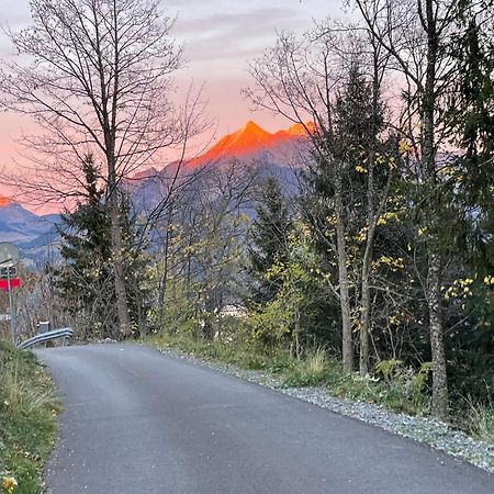 Charmant Appartement Au Vagabond Leysin Eksteriør billede
