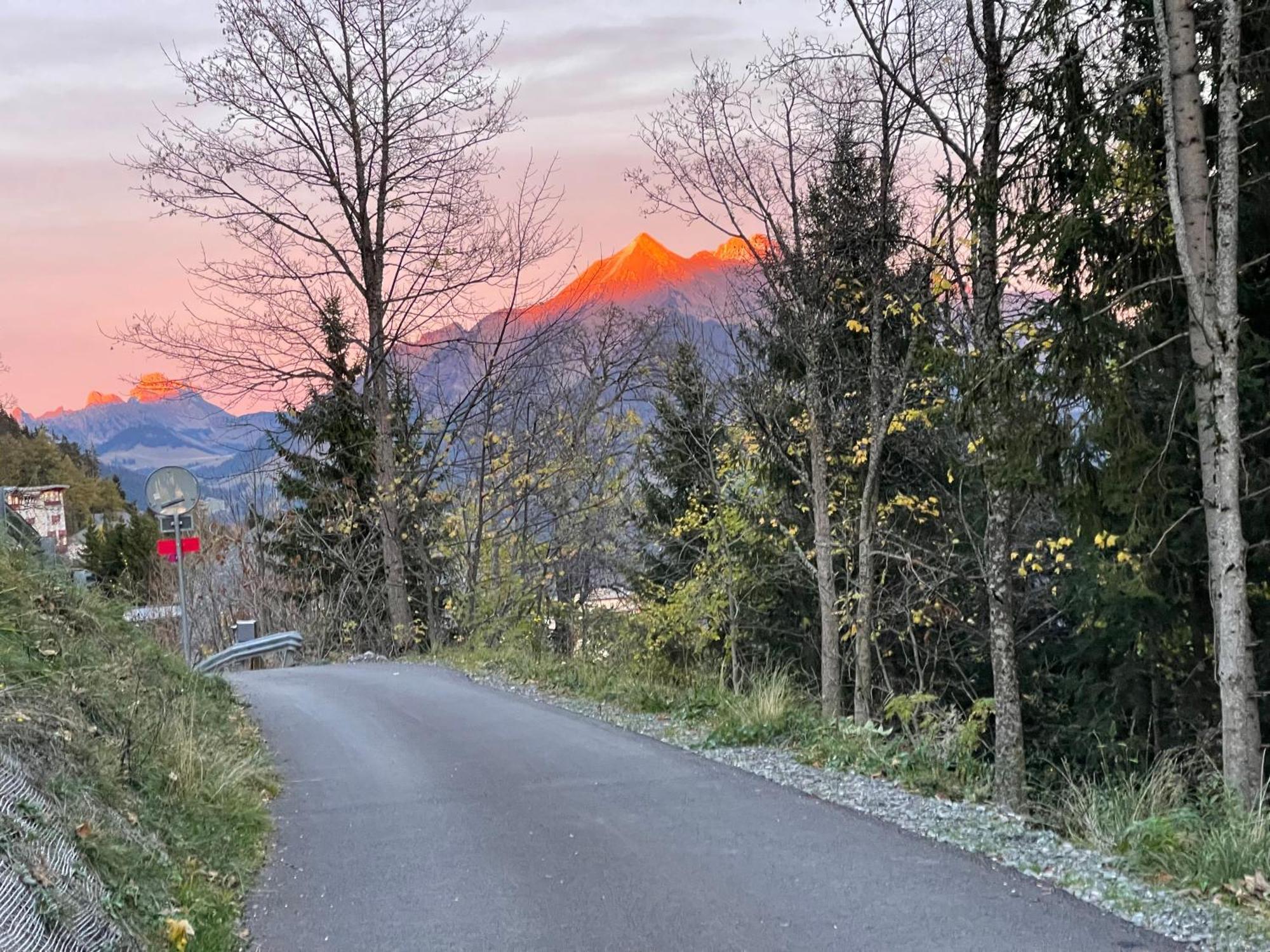 Charmant Appartement Au Vagabond Leysin Eksteriør billede