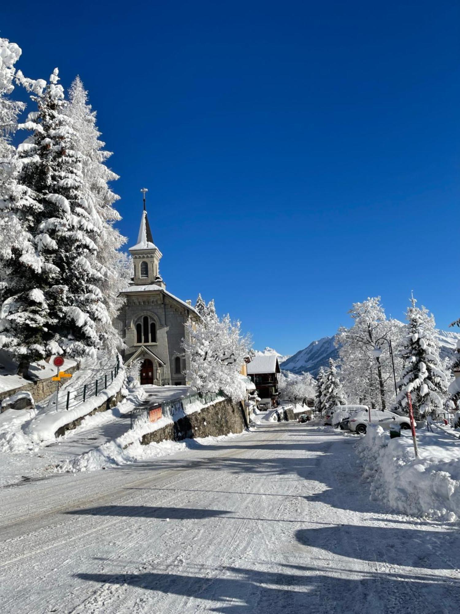 Charmant Appartement Au Vagabond Leysin Eksteriør billede